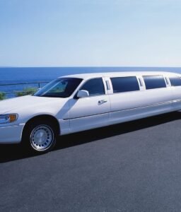 Limousine Tours