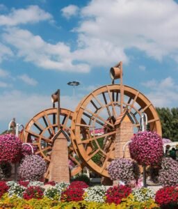Culture and Attraction