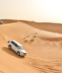 Desert Safari Tours